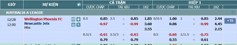 nhan-dinh-soi-keo-wellington-vs-newcastle-jets-luc-11h00-ngay-28-12-2024-2