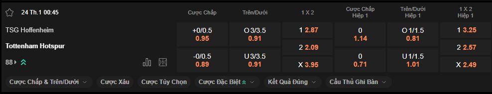 nhan-dinh-soi-keo-hoffenheim-vs-tottenham-luc-0h45-ngay-24-1-2025