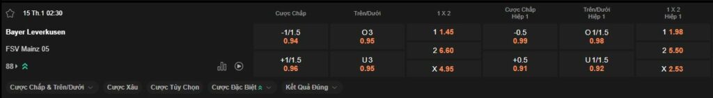 nhan-dinh-soi-keo-leverkusen-vs-mainz-luc-2h30-ngay-15-01-2025